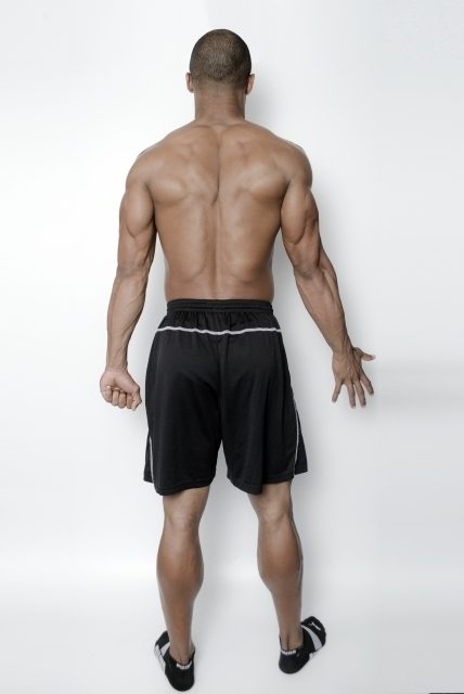 背筋の鍛え方!25種の筋トレ&コツ!自重&ダンベル・バーベル・マシン別に解説