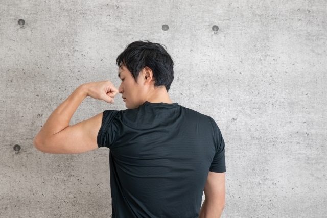【筋肉の付け方】初心者向けに筋トレ・食事など筋肥大を効率的に起こす秘訣を解説