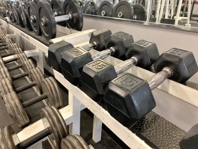 マークフィットとは?生い立ち・成績〜筋トレ・食事・私生活〜画像集まで紹介!