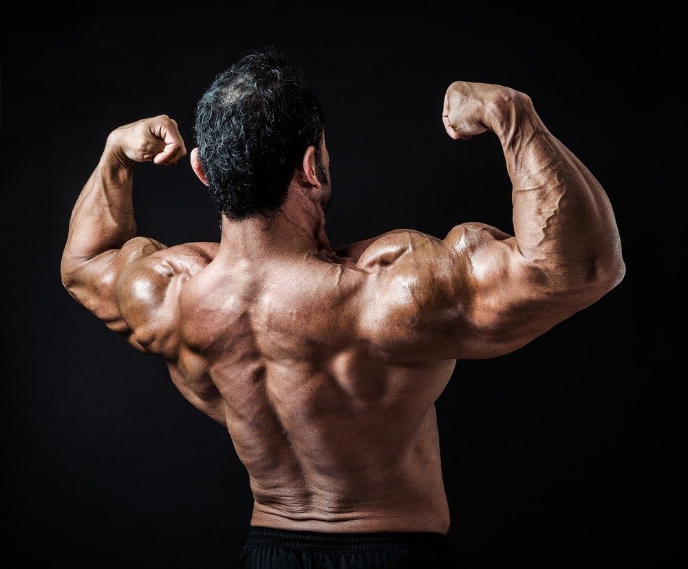 ジェフシードとは?生い立ち・成績〜筋トレ・食事・私生活〜画像集まで紹介!